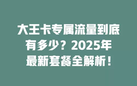 大王卡专属流量到底有多少？2025年最新套餐全解析！