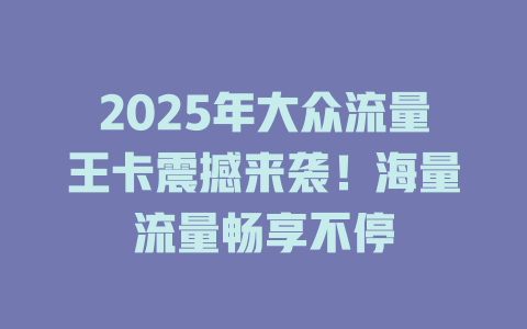 2025年大众流量王卡震撼来袭！海量流量畅享不停