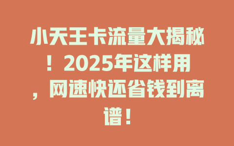 小天王卡流量大揭秘！2025年这样用，网速快还省钱到离谱！