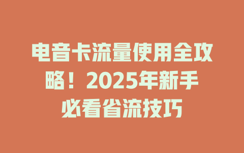 电音卡流量使用全攻略！2025年新手必看省流技巧