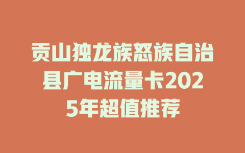 贡山独龙族怒族自治县广电流量卡2025年超值推荐