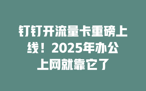 钉钉开流量卡重磅上线！2025年办公上网就靠它了