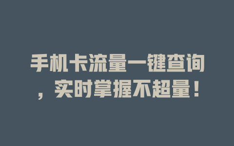 手机卡流量一键查询，实时掌握不超量！