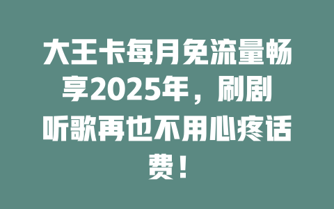 大王卡每月免流量畅享2025年，刷剧听歌再也不用心疼话费！