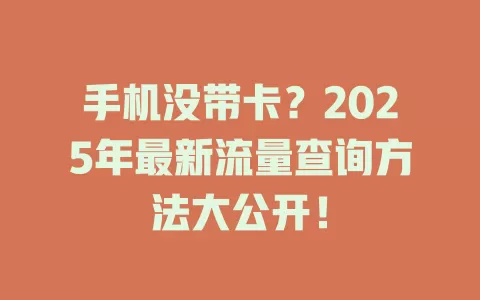 手机没带卡？2025年最新流量查询方法大公开！