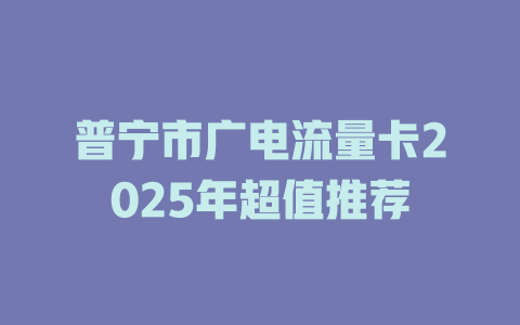 普宁市广电流量卡2025年超值推荐