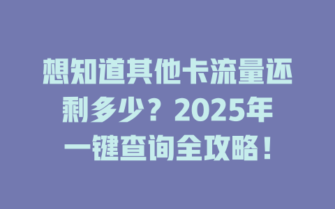 想知道其他卡流量还剩多少？2025年一键查询全攻略！