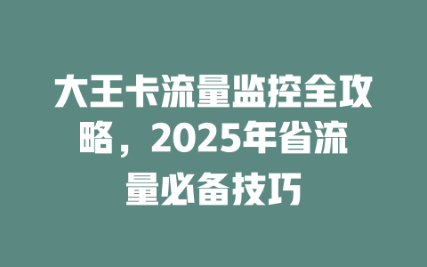 大王卡流量监控全攻略，2025年省流量必备技巧