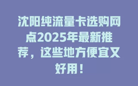沈阳纯流量卡选购网点2025年最新推荐，这些地方便宜又好用！