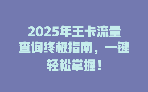 2025年王卡流量查询终极指南，一键轻松掌握！