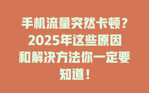 手机流量突然卡顿？2025年这些原因和解决方法你一定要知道！