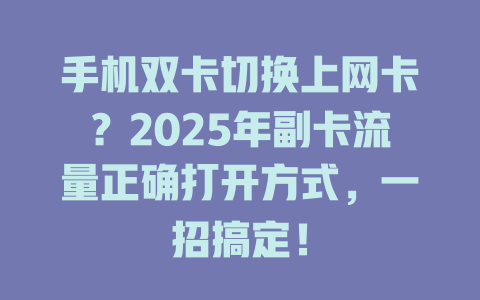 手机双卡切换上网卡？2025年副卡流量正确打开方式，一招搞定！