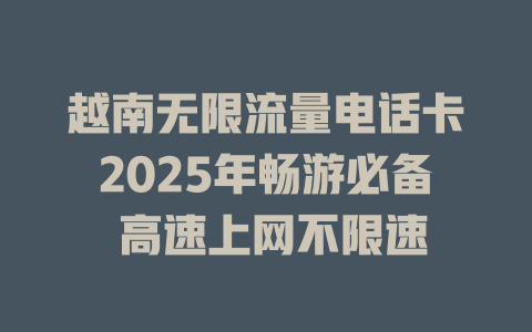 越南无限流量电话卡2025年畅游必备 高速上网不限速