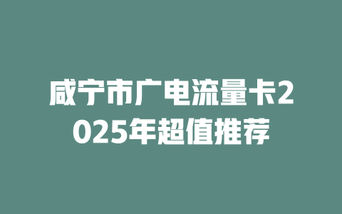 咸宁市广电流量卡2025年超值推荐