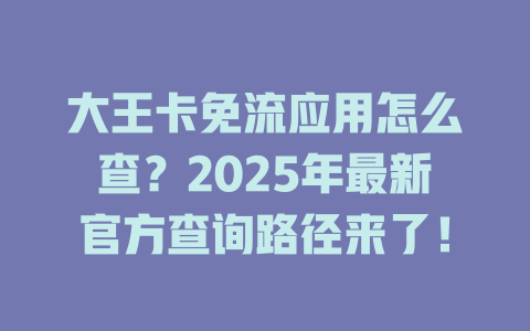 大王卡免流应用怎么查？2025年最新官方查询路径来了！
