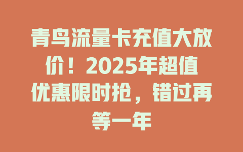 青鸟流量卡充值大放价！2025年超值优惠限时抢，错过再等一年