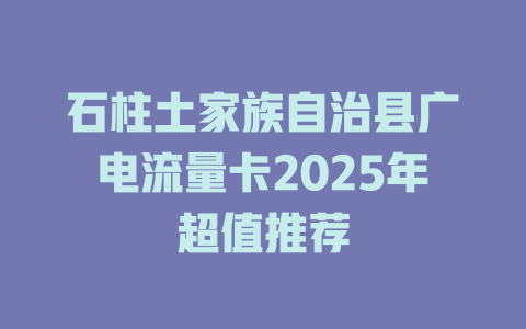 石柱土家族自治县广电流量卡2025年超值推荐
