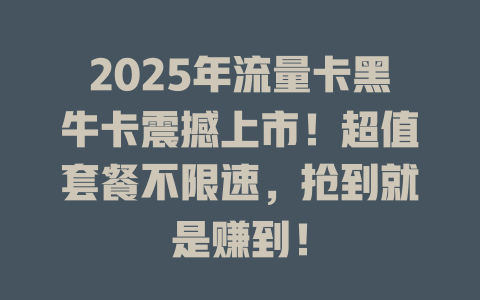 2025年流量卡黑牛卡震撼上市！超值套餐不限速，抢到就是赚到！