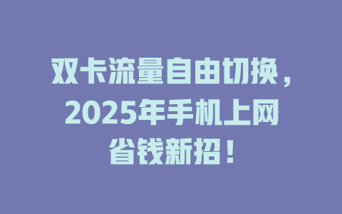 双卡流量自由切换，2025年手机上网省钱新招！