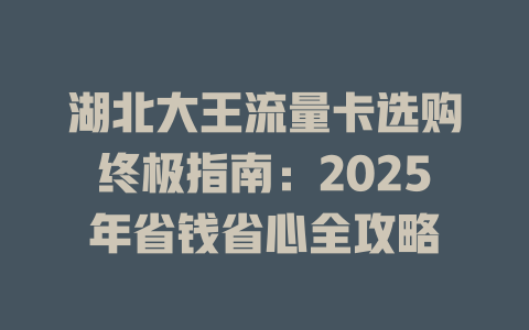 湖北大王流量卡选购终极指南：2025年省钱省心全攻略