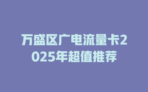 万盛区广电流量卡2025年超值推荐