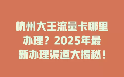 杭州大王流量卡哪里办理？2025年最新办理渠道大揭秘！