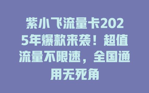 紫小飞流量卡2025年爆款来袭！超值流量不限速，全国通用无死角