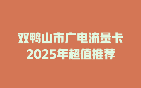 双鸭山市广电流量卡2025年超值推荐
