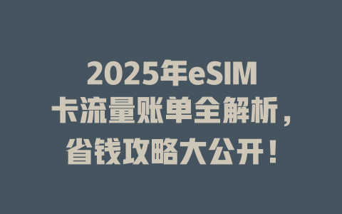 2025年eSIM卡流量账单全解析，省钱攻略大公开！