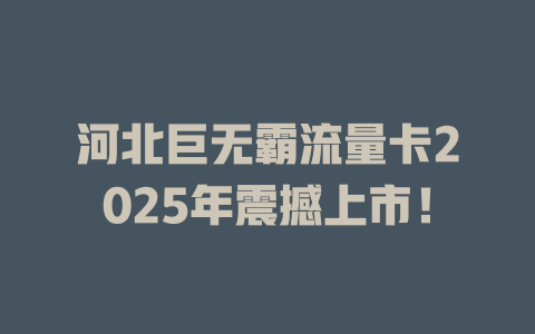 河北巨无霸流量卡2025年震撼上市！