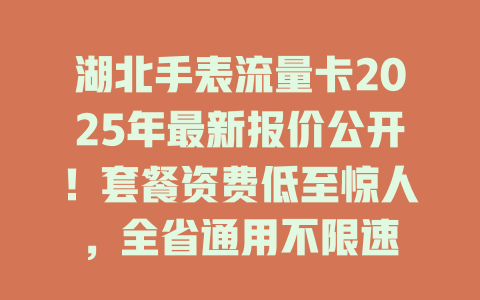 湖北手表流量卡2025年最新报价公开！套餐资费低至惊人，全省通用不限速