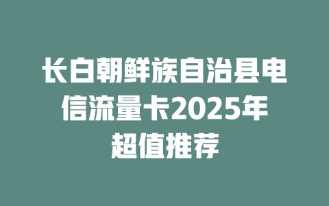 长白朝鲜族自治县电信流量卡2025年超值推荐