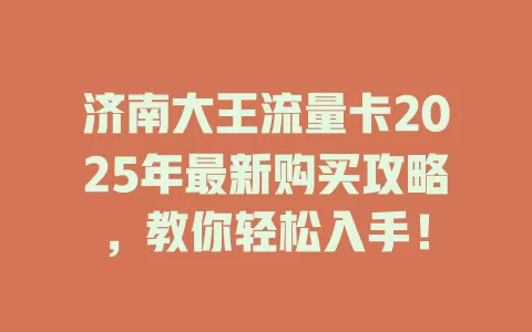 济南大王流量卡2025年最新购买攻略，教你轻松入手！