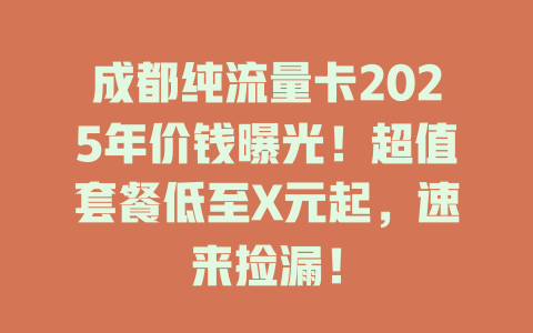 成都纯流量卡2025年价钱曝光！超值套餐低至X元起，速来捡漏！
