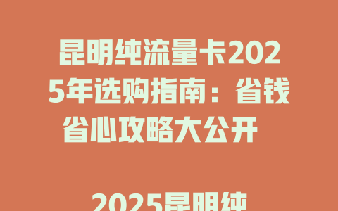 昆明纯流量卡2025年选购指南：省钱省心攻略大公开  

2025昆明纯流量卡这样选！