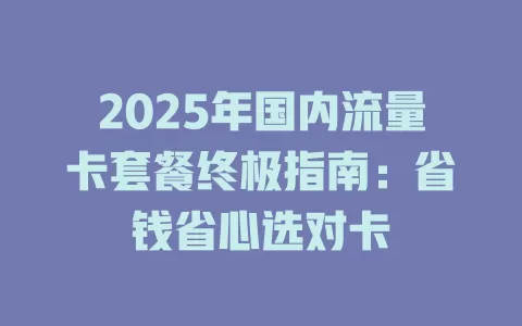 2025年国内流量卡套餐终极指南：省钱省心选对卡