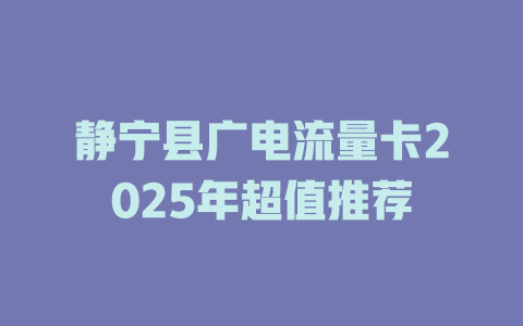 静宁县广电流量卡2025年超值推荐