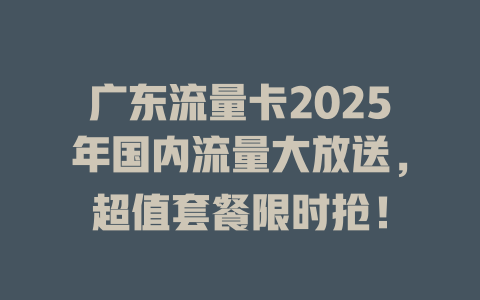 广东流量卡2025年国内流量大放送，超值套餐限时抢！