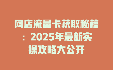 网店流量卡获取秘籍：2025年最新实操攻略大公开