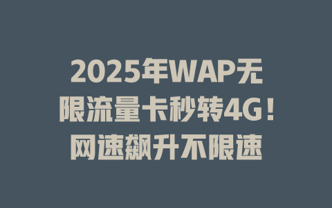 2025年WAP无限流量卡秒转4G！网速飙升不限速