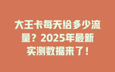 大王卡每天给多少流量？2025年最新实测数据来了！