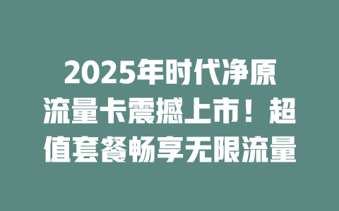 2025年时代净原流量卡震撼上市！超值套餐畅享无限流量