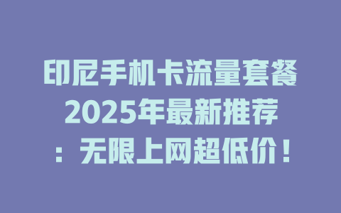 印尼手机卡流量套餐2025年最新推荐：无限上网超低价！