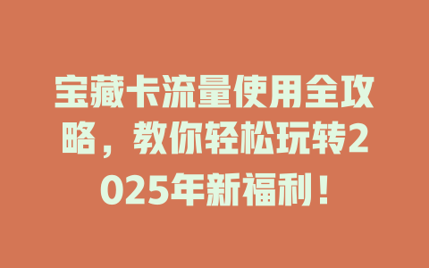 宝藏卡流量使用全攻略，教你轻松玩转2025年新福利！