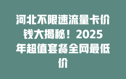 河北不限速流量卡价钱大揭秘！2025年超值套餐全网最低价