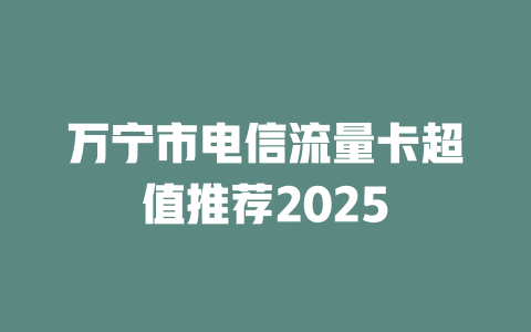 万宁市电信流量卡超值推荐2025