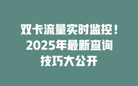 双卡流量实时监控！2025年最新查询技巧大公开