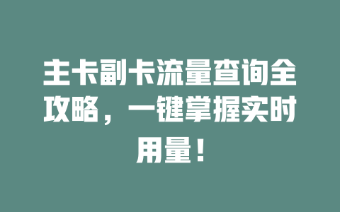 主卡副卡流量查询全攻略，一键掌握实时用量！