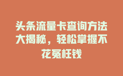 头条流量卡查询方法大揭秘，轻松掌握不花冤枉钱