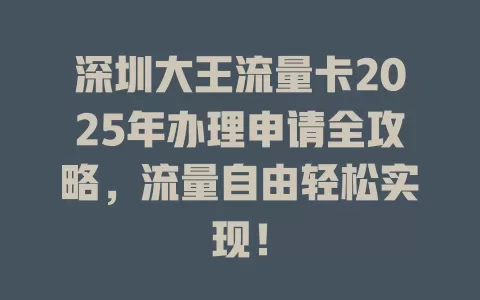 深圳大王流量卡2025年办理申请全攻略，流量自由轻松实现！